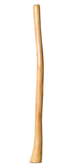 Medium Size Natural Finish Didgeridoo (TW1279)